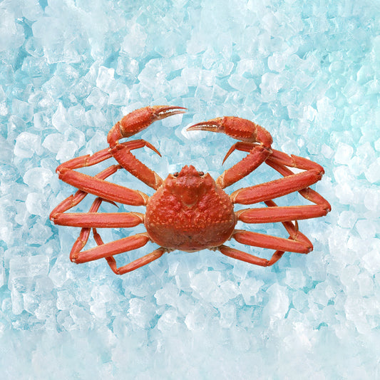 UNITED OCEAN Canadian Frozen Boiled Zuwai Snow Crab  (1pc)