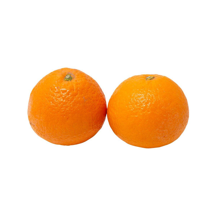 Japanese Saga Bijin Mikan Orange